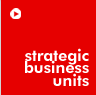 STRATEGIC BUSINESS UNITS