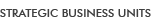 STRATEGIC BUSINESS UNITS